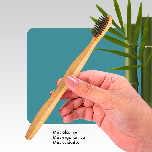 BASIC PLUS + DISPLAY x12 UNIDADES