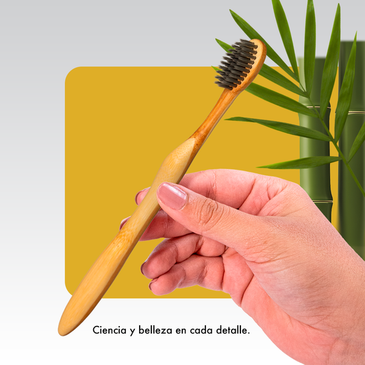 ERGO PLUS + DISPLAY X12 UNIDADES